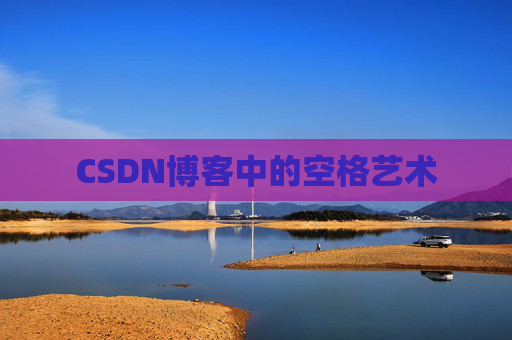 CSDN博客中的空格艺术